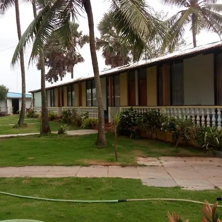 Rock Bite Hotel
